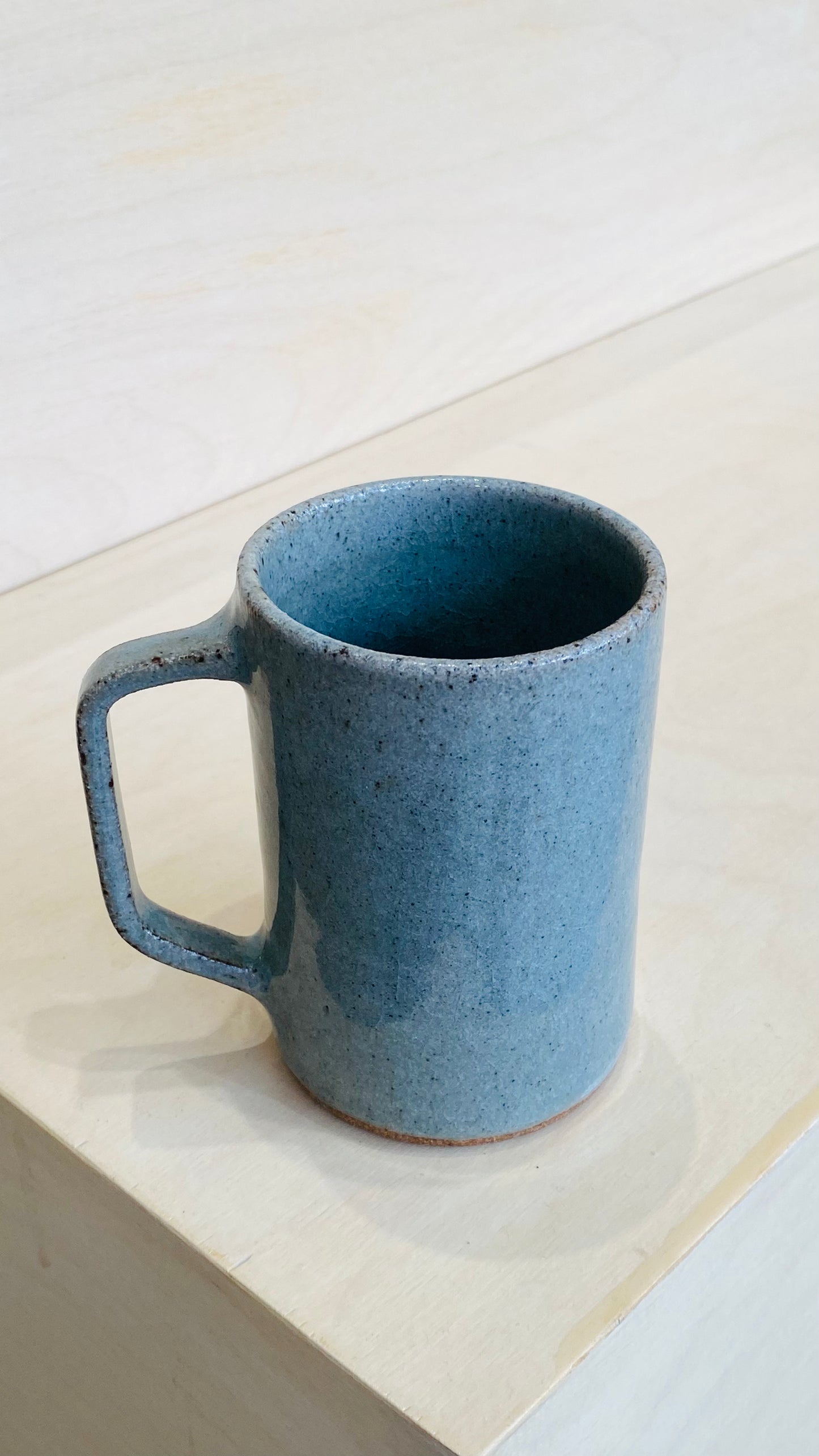 Daily Gratitude Mug