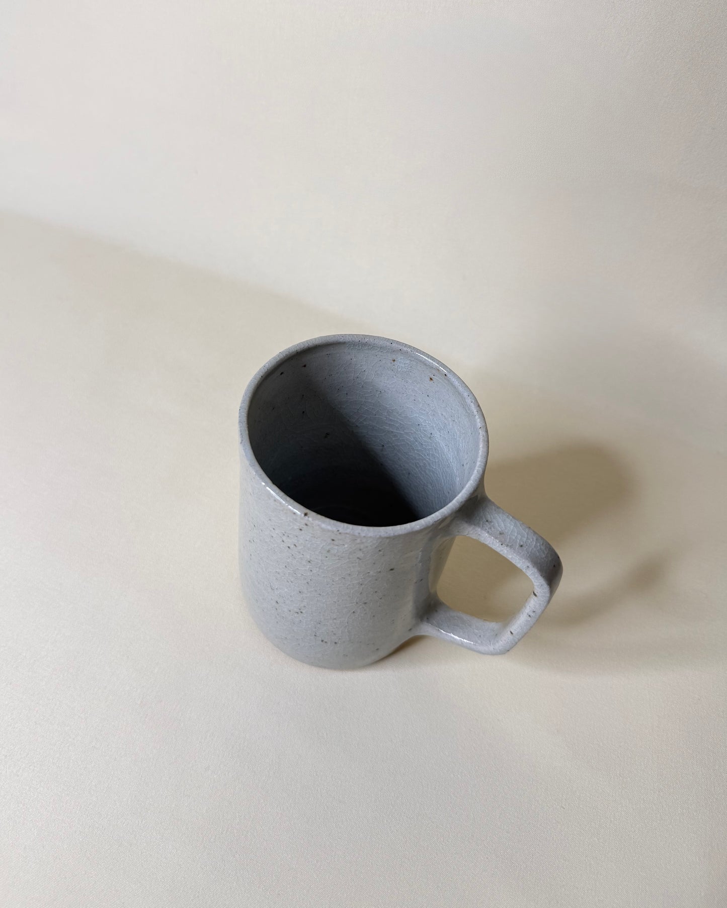 Daily Gratitude Mug