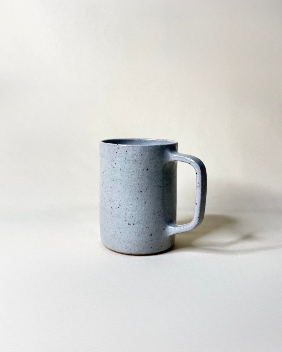 Daily Gratitude Mug