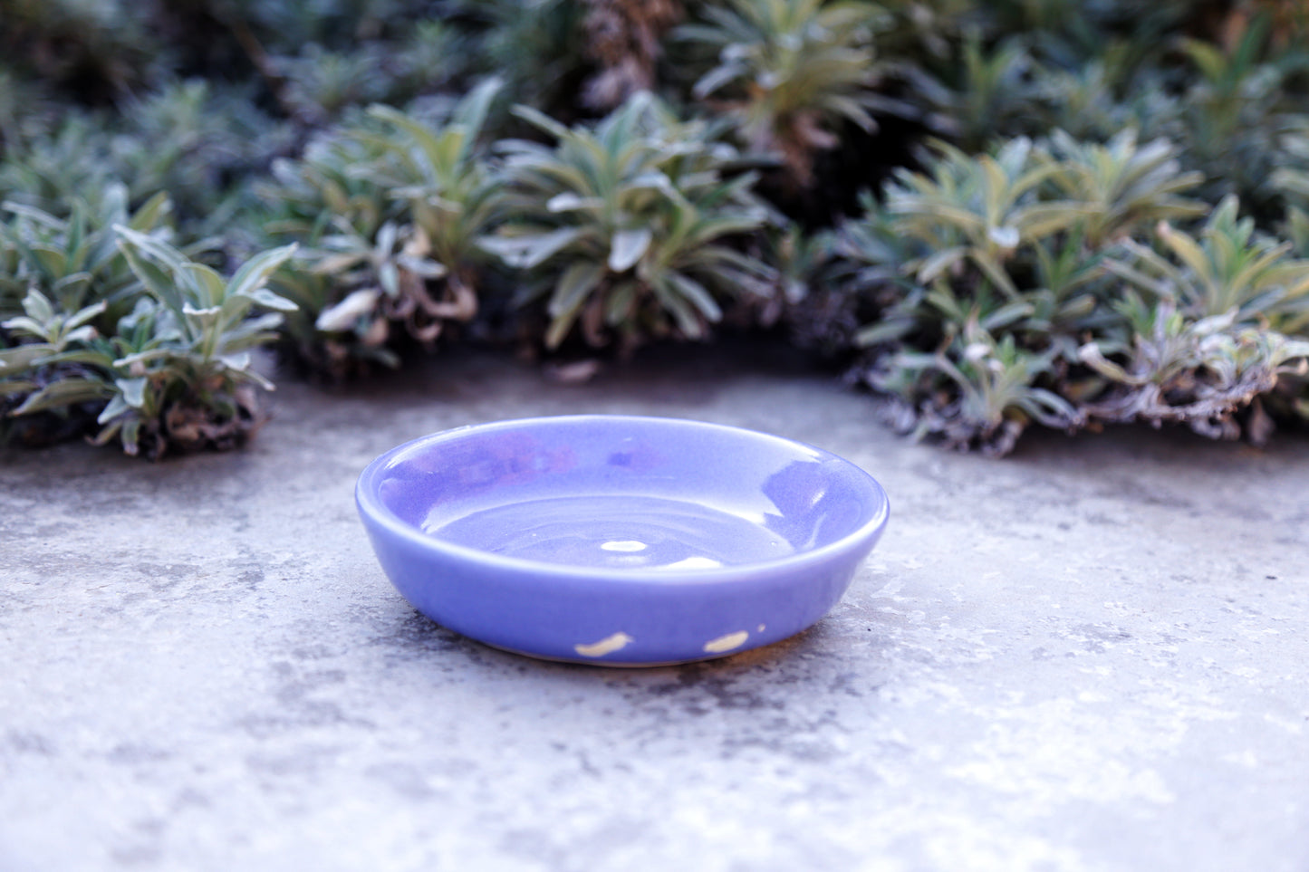 Odyssey Blue Medium Flat Bowl