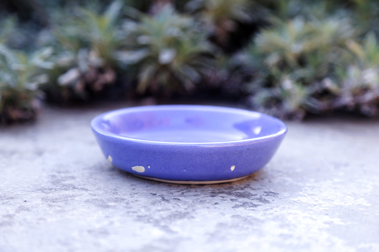 Odyssey Blue Medium Flat Bowl