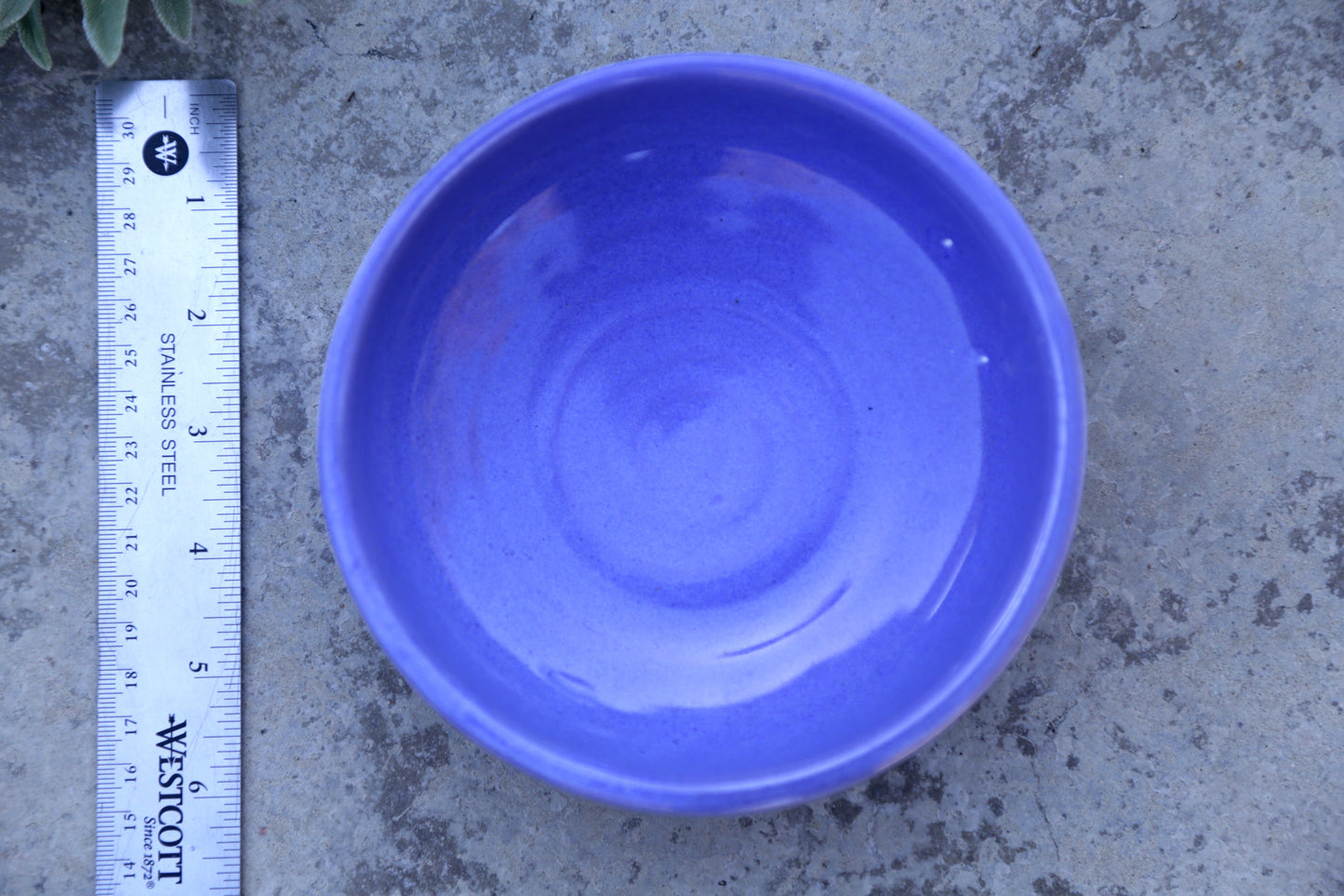 Odyssey Blue Medium Bowl