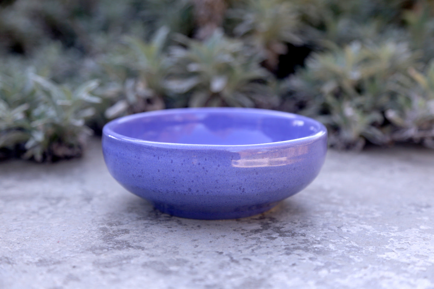 Odyssey Blue Medium Bowl