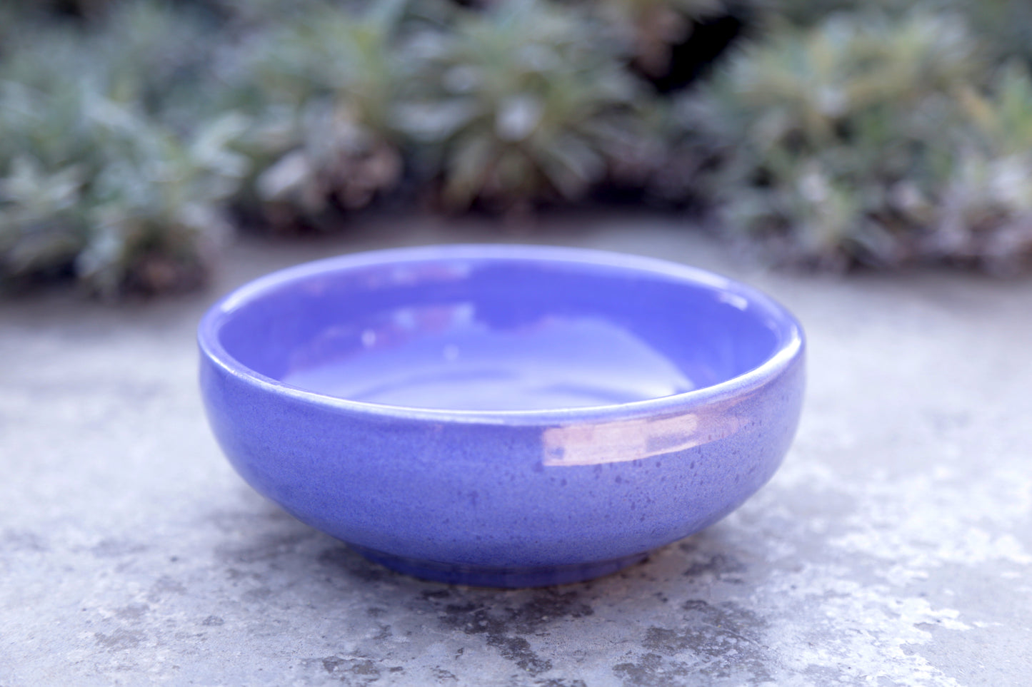 Odyssey Blue Medium Bowl