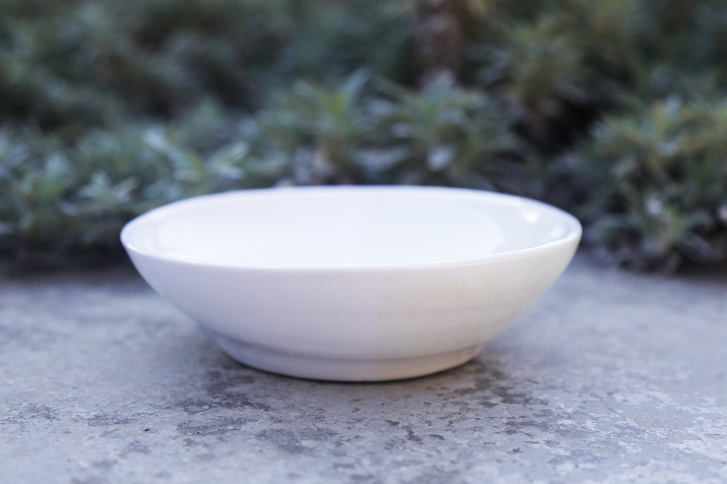 White Bowl Medium