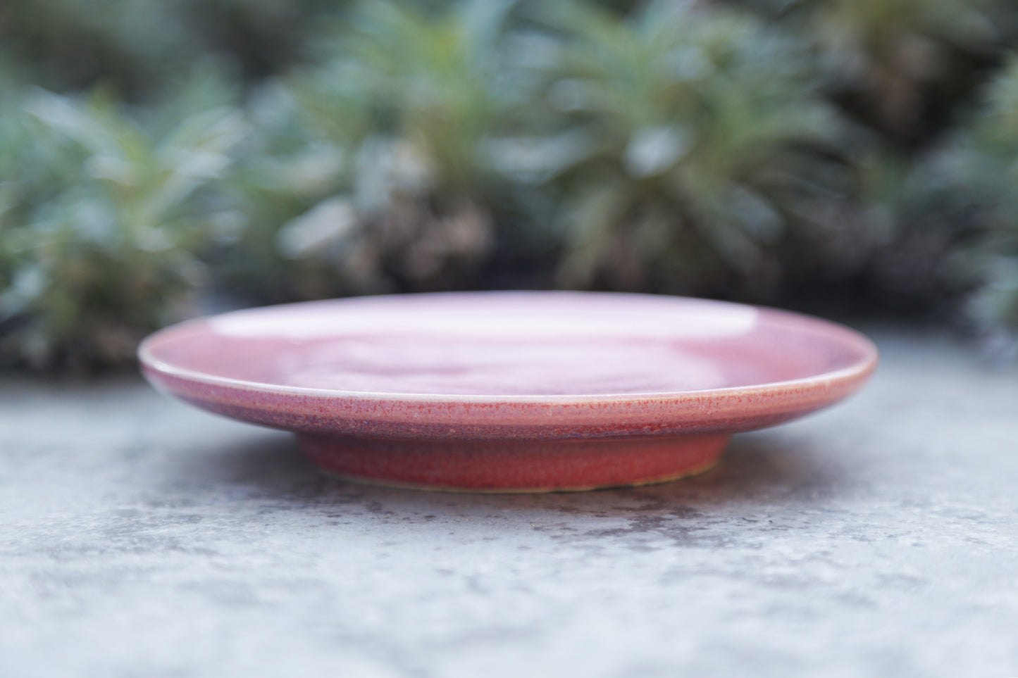 Rose Pink Flat Rised Plate Small