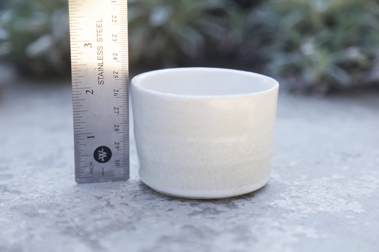 Pure White Sage Cup