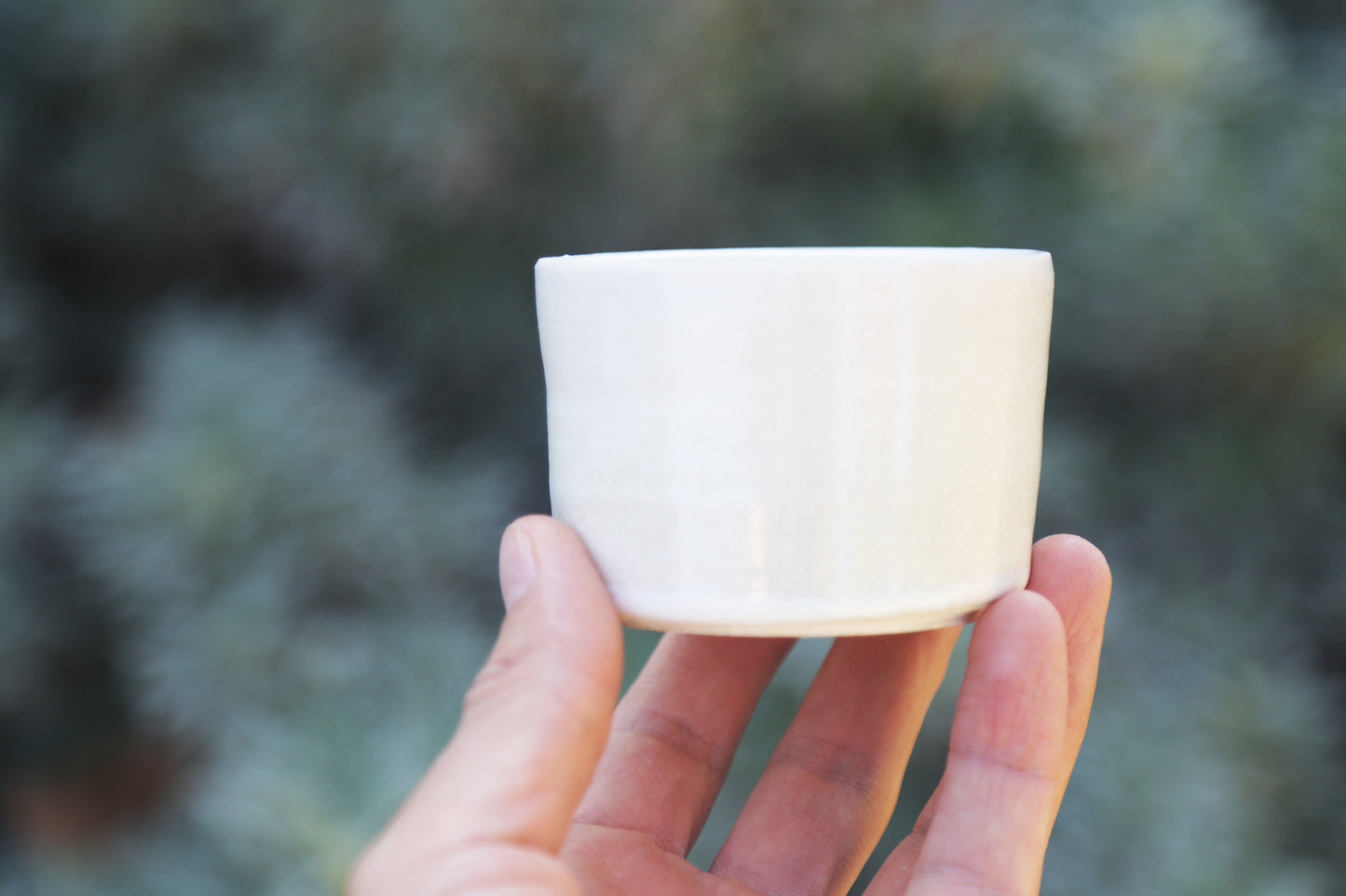 Pure White Sage Cup